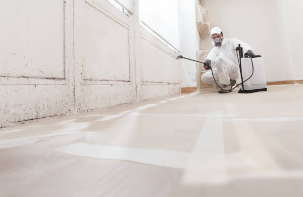 24/7 Emergency Mold Testing experts in Elizabethtown, NC